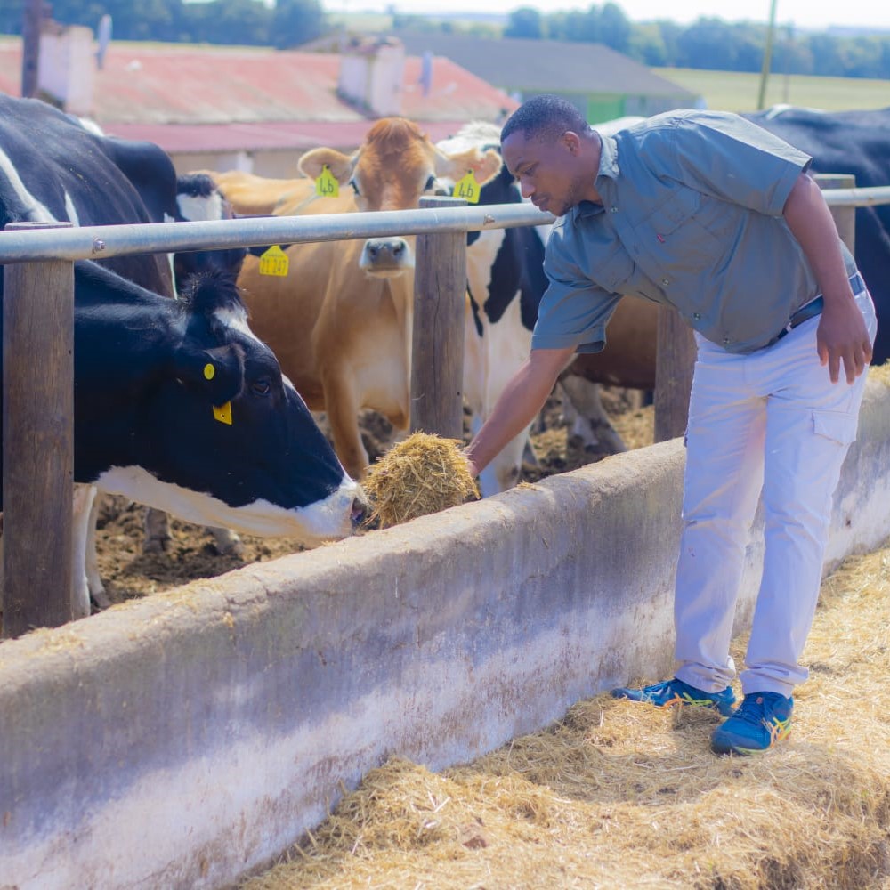 Farmers and youth in training on composting and regenerative agriculture