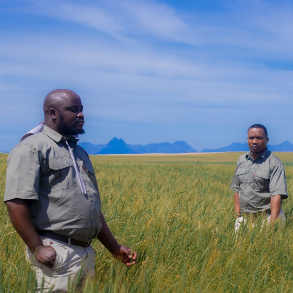 Investors and partners collaborating on regenerative agriculture projects